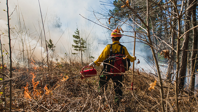 a member of Fire Tigers walking through the forest during a controlled burn