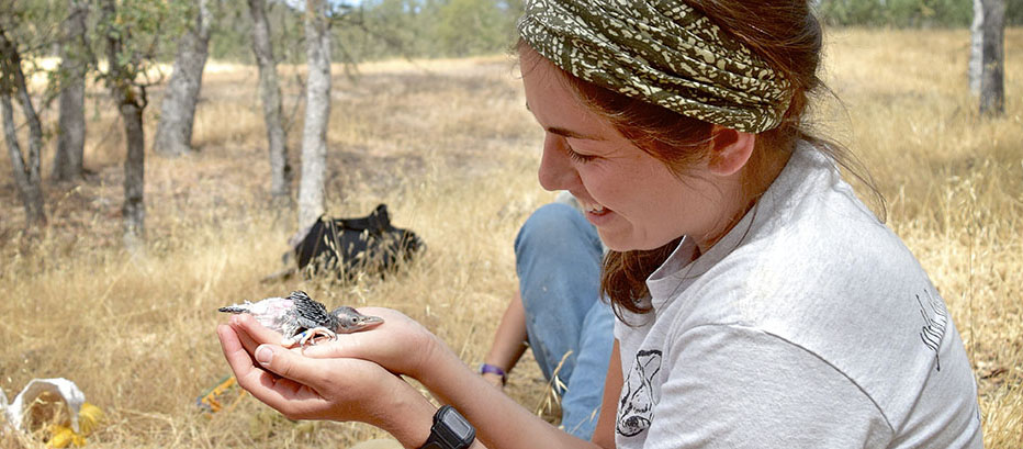 student holding a young bird while siting on the forest floor