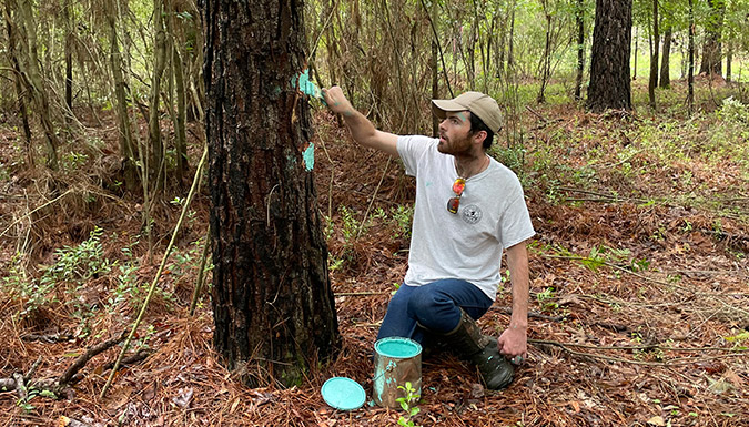 Jim Farrell marking a tree in the forest