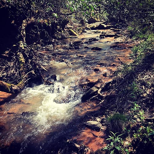 bubbling stream at pike road study site