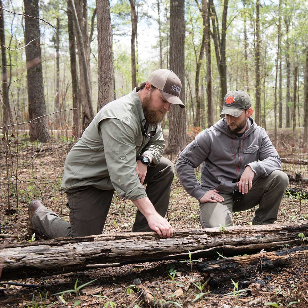 two students examining a fallen tree in the forest