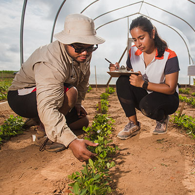 Scientists evaluating plants