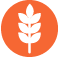 Animal and Plant Production Systems