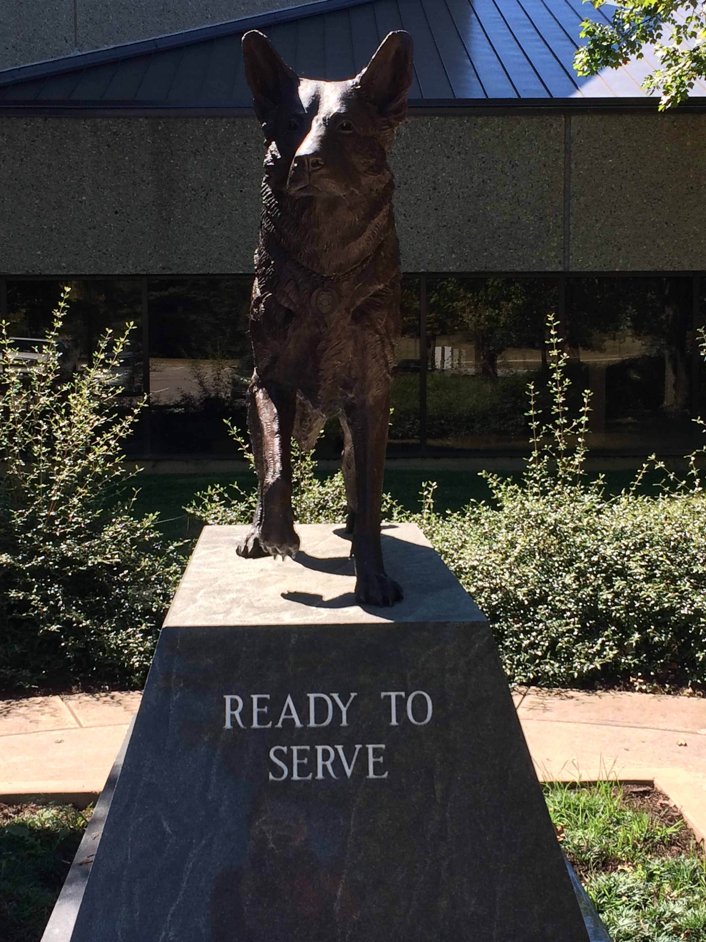 Police dog memorial statue in front of the Veterinary Teaching Hospital at the Virginia-Maryland College of Veterinary Medicine. Tina Rowland Kimmett visited there in 2015 to learn about canine lumbosacral muscle anatomy from Dr. Larry Freeman.