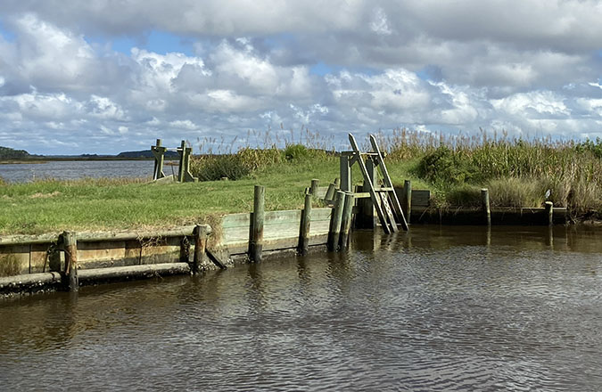 Rice trunk for controlling water levels in impounded wetlands