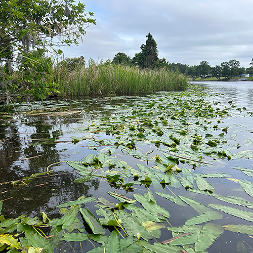 a lakeside