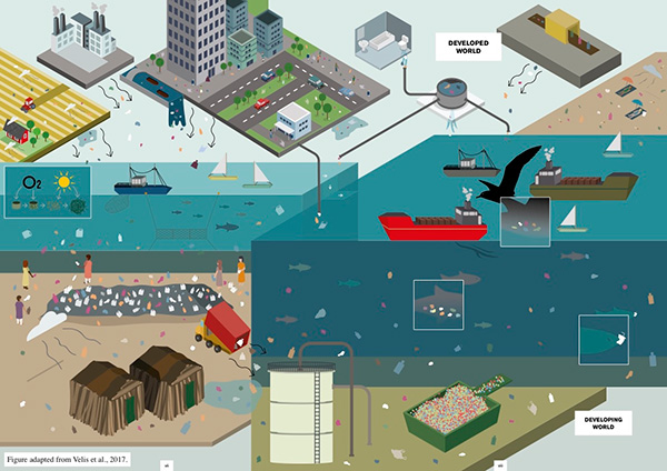 Sources, pathways, transformations and fate of marine litter
