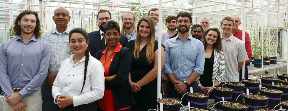 Team in Greenhouse