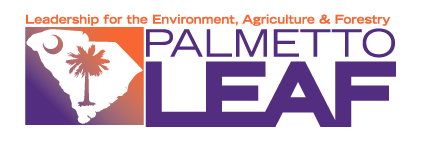 leadership for the environment agriculture and forestry palmetto leaf