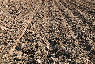 plowed field