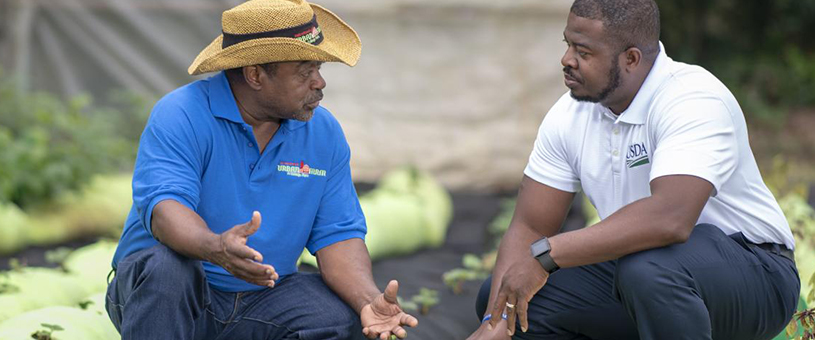 2 men crouching and talking in a field of crops