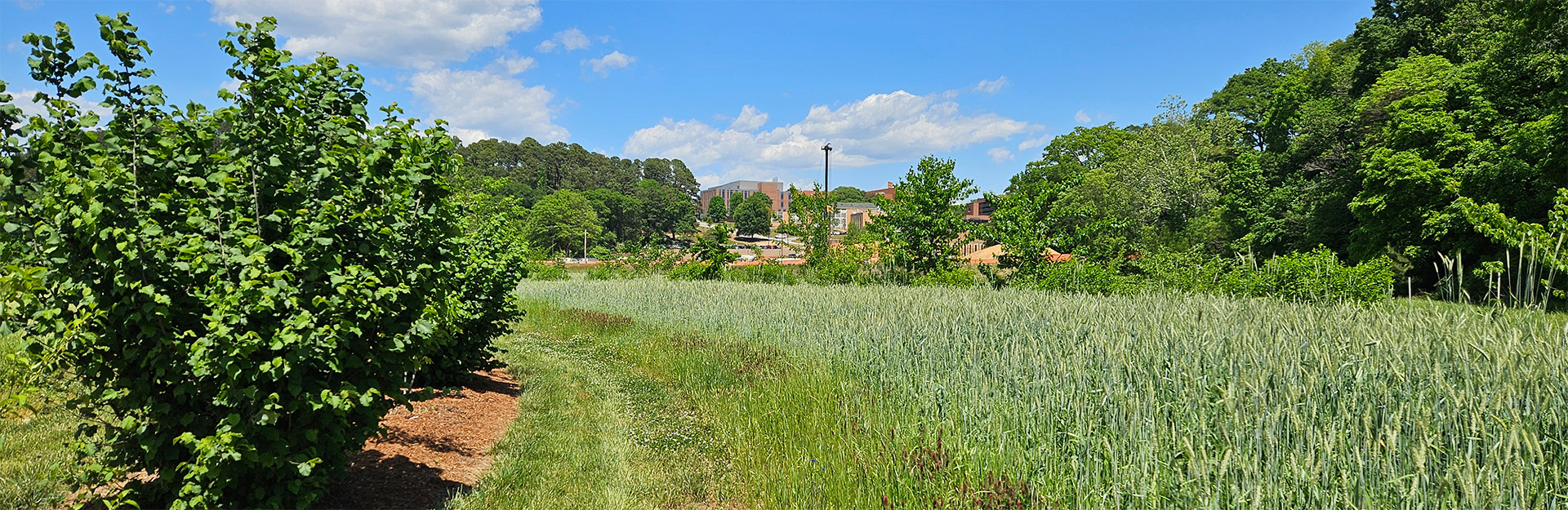 restoration farm
