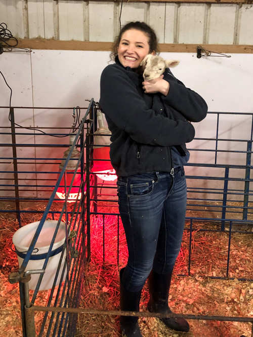 Student holding a baby sheep in a barn on clemson campus