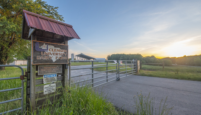 sign and gate entrance to lamaster dairy farm at clemsons piedmont research and education center
