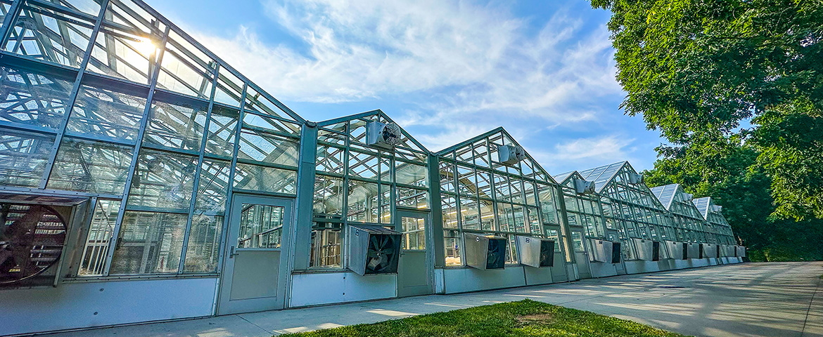 exterior view of greenhouses on campus