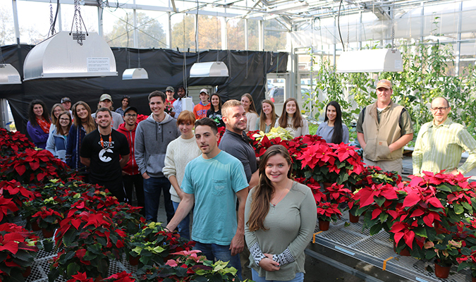 Students in Jim Faust's Horticulture class growing poinsettias in the Fall class.