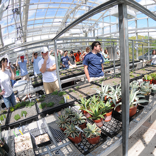 students during a class in greenhouse
