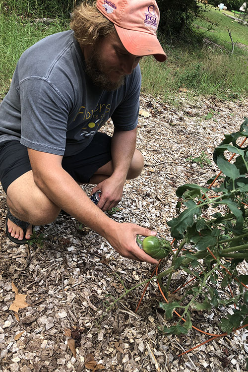 Michael Henry Franks Senior Horticulture Noble Farms LLC, Gray Court, South Carolina