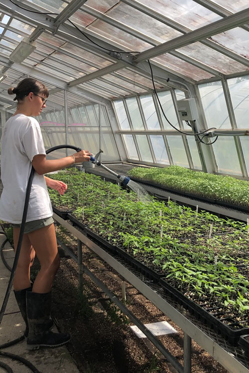  Sara Price Rising Junior, Horticulture Clemson Coastal Research and Education Center, Charleston, South Carolina