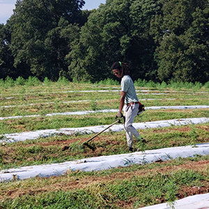 Jarred Cook Rising Senior, Horticulture The Hemp Mine Fairplay, South Carolina