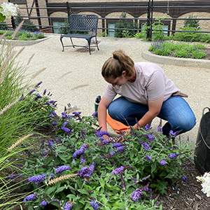 Lauren Skyler Murray Rising senior, Major in Horticulture/ Minor in Crop & Environmental Science & Animal & Veterinary Science Biltmore Estate Asheville, NC