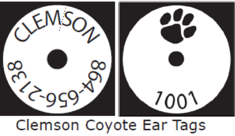 Clemson Coyote Ear Tags