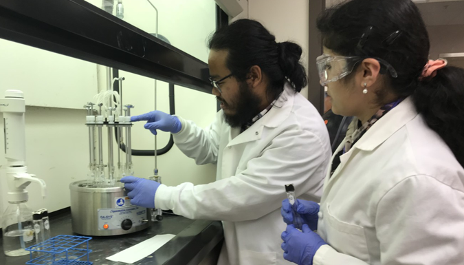 Clemson researchers Sruthi Narayanan and Zolian Zoong-Lwe extract lipids to determine if lipid metabolic changes contribute to heat stress in soybeans.
