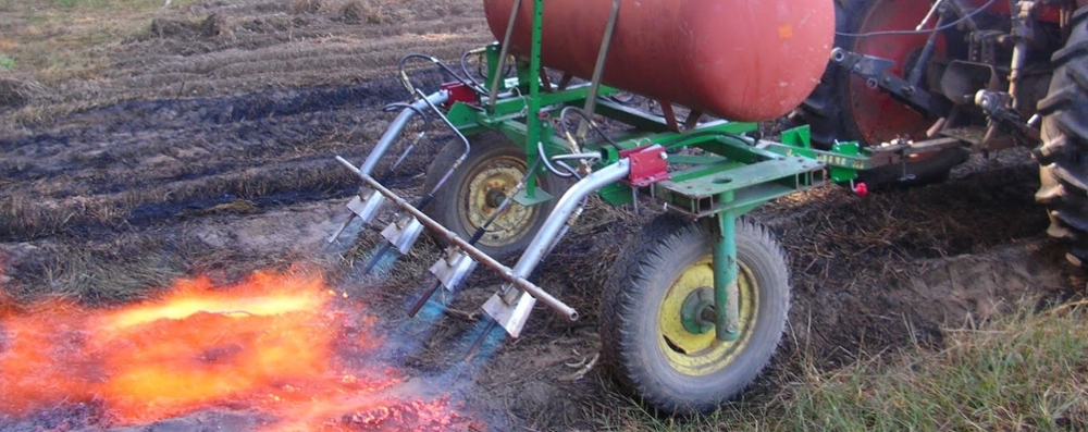 Flame Weed Management