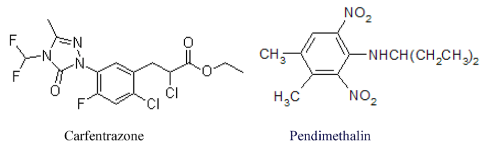 Carfentrazone, Pendimethalin