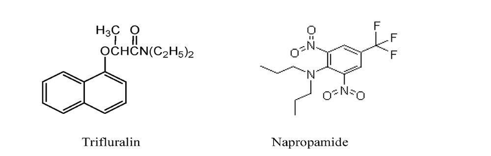 Trifluralin, Napropamide