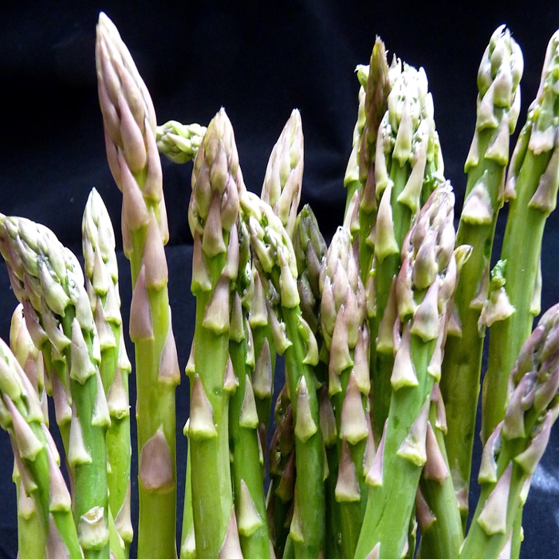 Asparagus