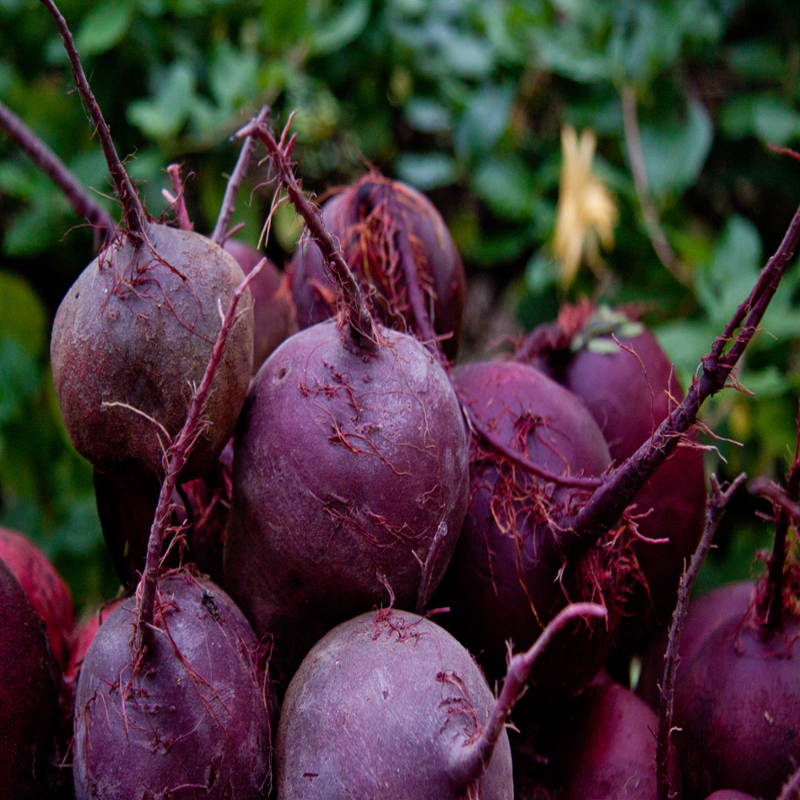 Beets