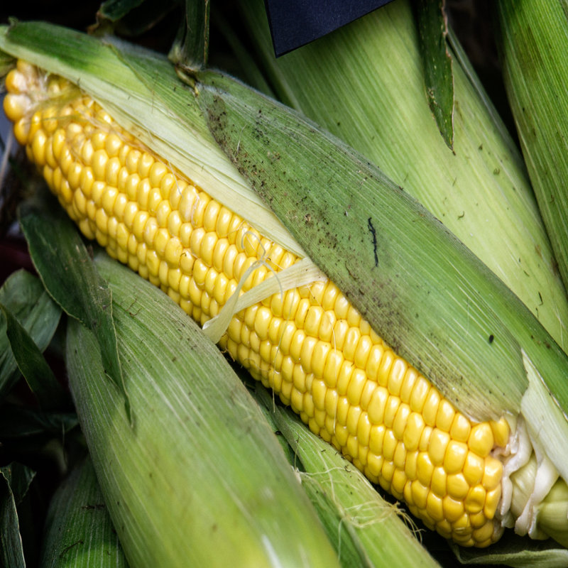 Corn