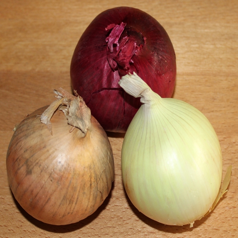 Onion