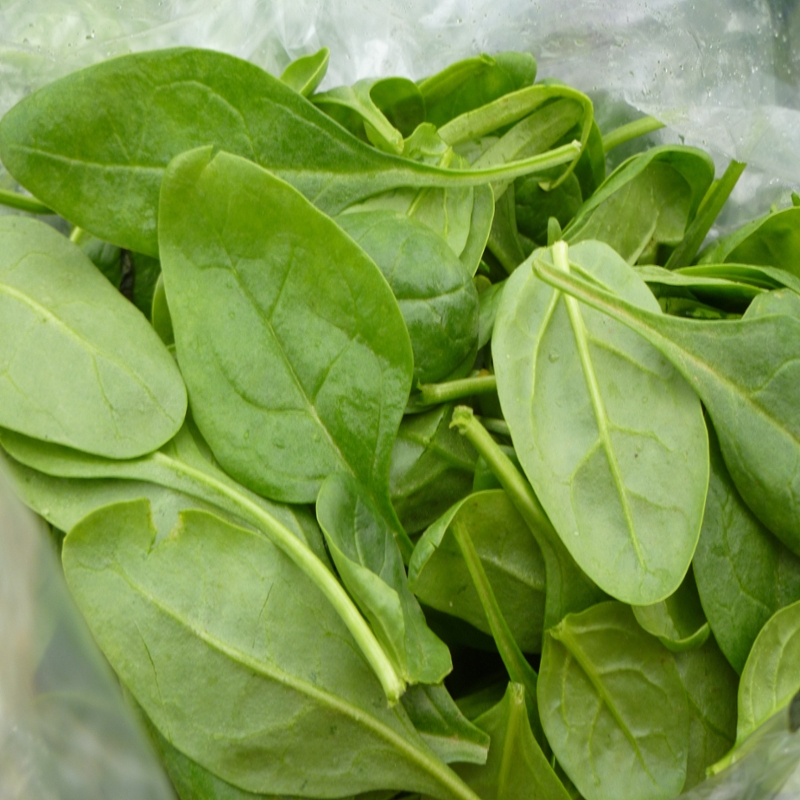 Spinach