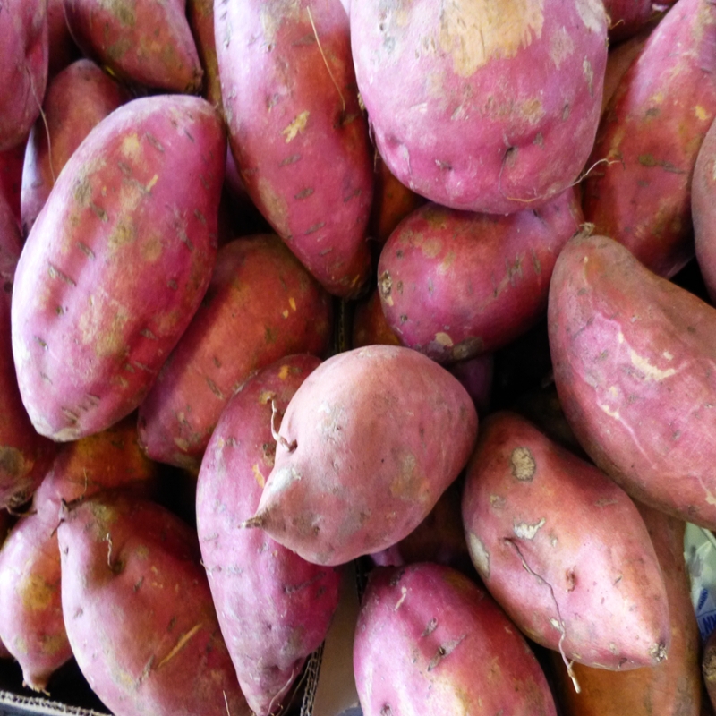 Sweet potato