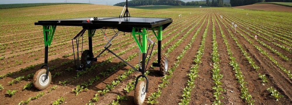 Robotic Weeder