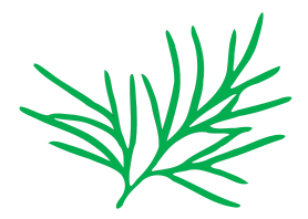 Multifide leaf