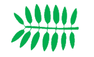 Pinnate leaf