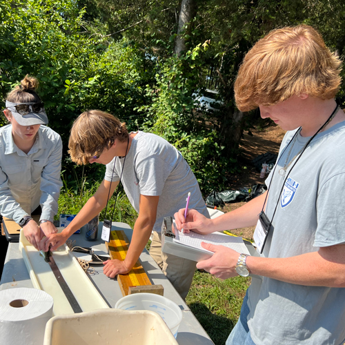 forestry students collecting samples by a stream