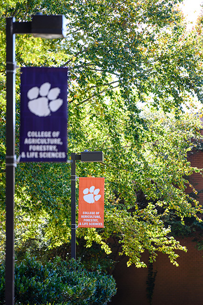 College banners hanging in quad