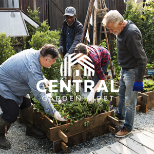 people working with soil and plants in a raised garden bed