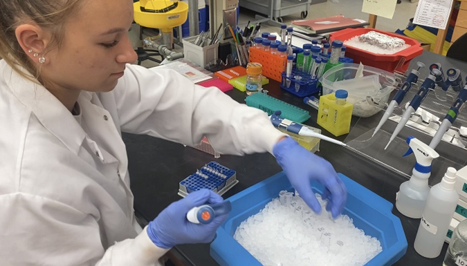 Alex Ratay working in a lab at National Clean Plant Network (NCPN)