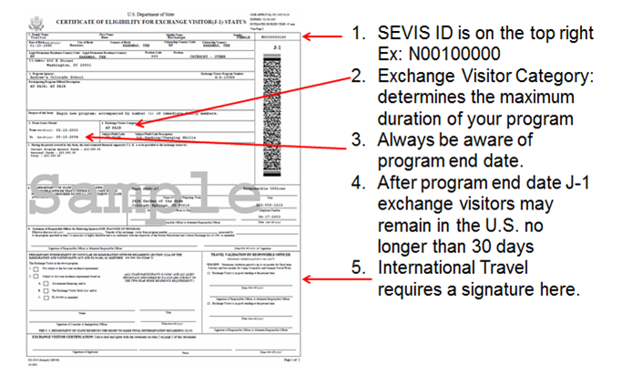 inviting j visa scholars clemson university south carolina ds 206 form