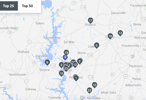 Map of the Top 25 Shopping Destinations of Forest Visitors