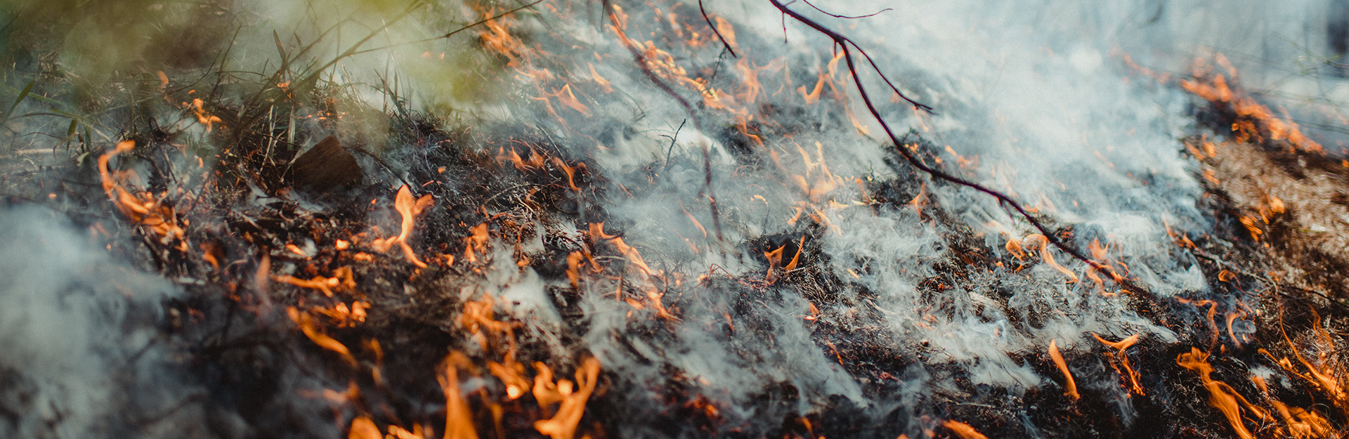 fire burning