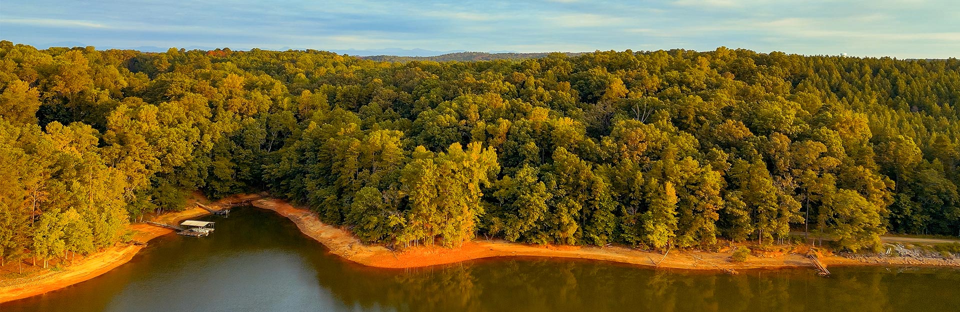 Clemson University Forest and shoreline