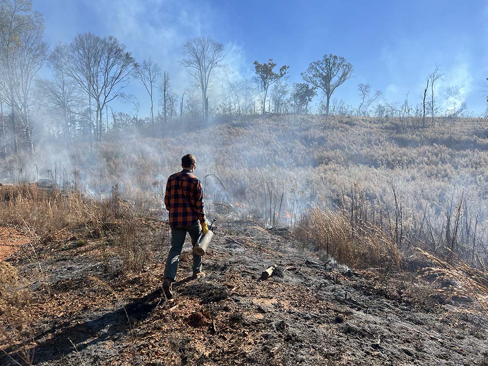 Man conducting a prescribed burn