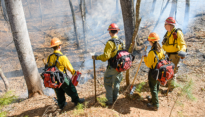 four fire fighters observing a prescribed burn