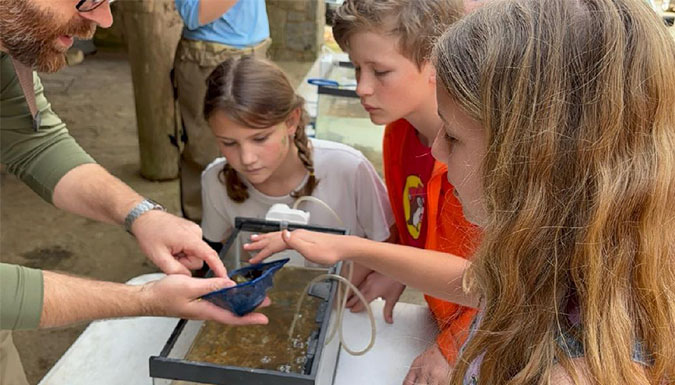 Three children looking at a fish tank at Forest Fest